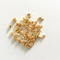 //rororwxhoilrmr5q.ldycdn.com/cloud/qkBpiKrpRmiSmrjlpplnk/Gold-metal-Au-Slug-60-60.jpg