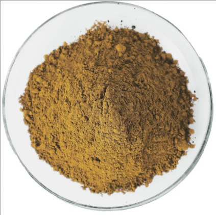 Bismuth Ferrite (BiFeO3)-Powder
